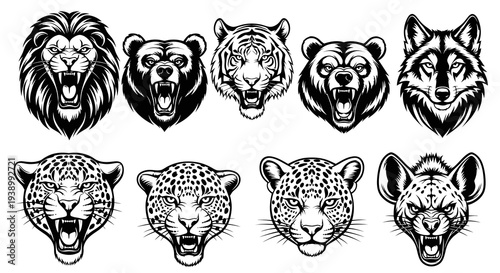 Roaring Wild Animal Head Collection: Lion, Bear, Tiger, Wolf, Leopard, Hyena Black  White Vector Art