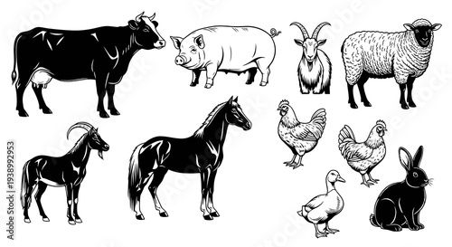 Agriculture Livestock Farm Animals Set Black and White Line Art Illustration