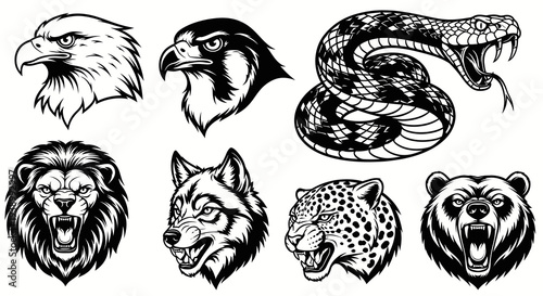 Black  White Line Art Wild Animals  Predators Mascot Heads Vector Set