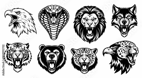 Black  White Line Art Predator Animal Heads for Sports Mascots and Wildlife Designs