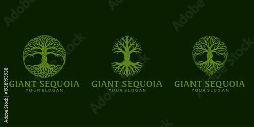 giant sequoia logo design inspiration