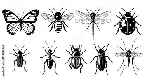 Black  White Line Art Entomology Set - Diverse Insect Icons for Nature  Science