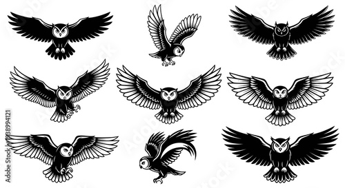Monochrome Vector Illustration of Flying Owls Set for Wildlife  Nature Design