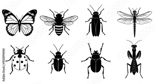 Wildlife Entomology Black  White Silhouette Insect and Bug Icons Set