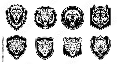 Wildlife Mascots Black  White Line Art Illustrations Set: Lion, Tiger, Bear, Wolf, Leopard, Hyena Heads