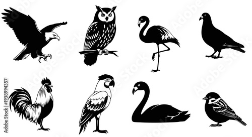 Black  White Line Art Bird Collection Vector Set for Wildlife and Nature Designs