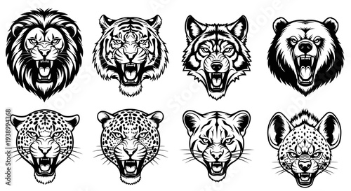 Black  White Line Art Predator Animal Heads Set for Wildlife and Mascot Design
