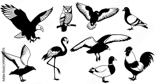 Nature Wildlife Black and White Line Art Vector Birds Set: Eagle, Owl, Flamingo, Rooster, Duck