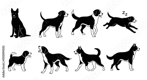Various Pet Dogs Black and White Line Art Set. Canine Breed Silhouette Vector Collection.