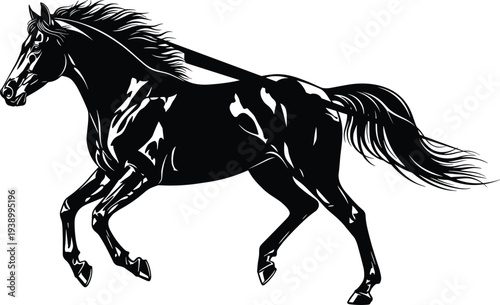 Powerful black and white horse running vector illustration silhouette with flowing mane and tail isolated on white background for equine art