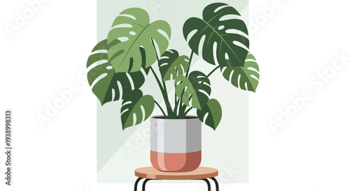 Potted Monstera deliciosa plant on a wooden stand