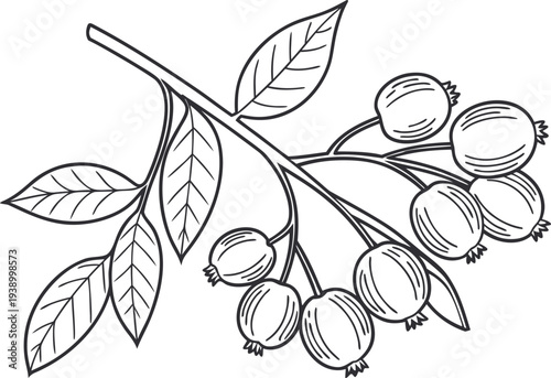 World Pulses Day Awareness Concept. Global Pulses Nutrition Awareness Day. International Pulses Food Awareness Theme. Pulses Nutrition And Health Awareness. World Pulses Agriculture Awareness Day