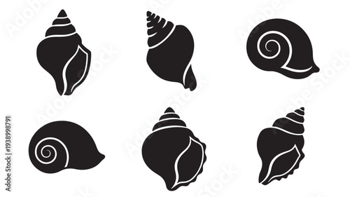 Seashell collection icons with six different black silhouettes of spiral and conical marine shells featuring conch, ocean, beach with nature and
