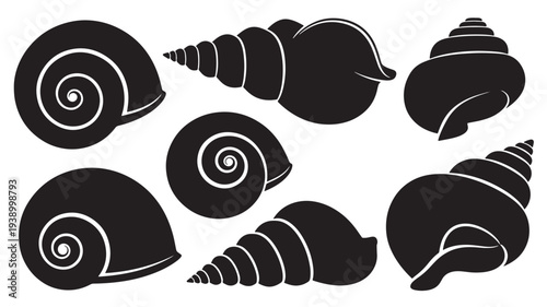 Seashells collection with various spiral and conical shapes in solid black silhouette on a white background, perfect for marine themes.