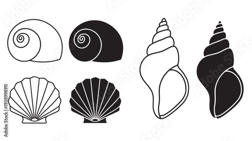 Seashell collection icon set with spiral and fan shapes in black and white outlines. featuring shell, mollusk, marine with ocean and sea elements for
