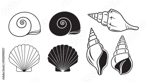 Seashells collection with spirals and scallops, iconic beach treasures in black and white line art and silhouette styles.