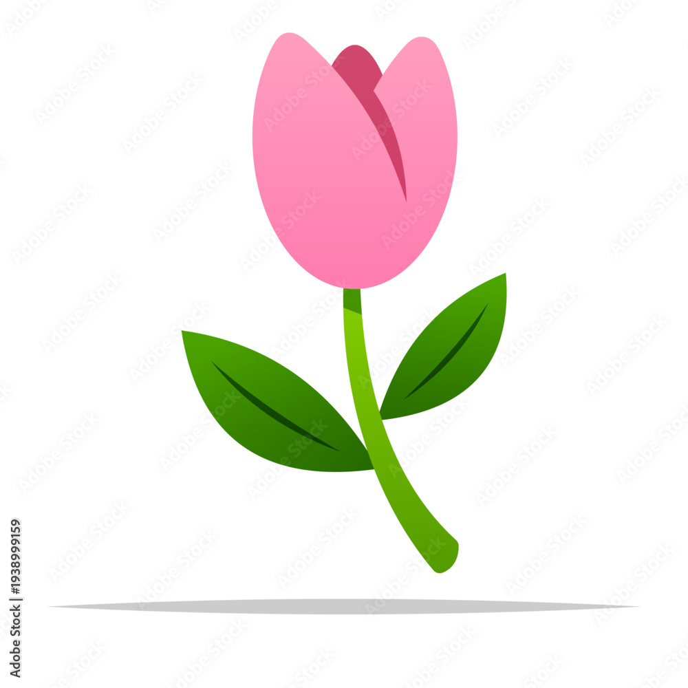Fototapeta premium Single pink tulip flower vector isolated illustration