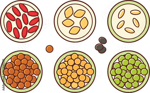 World Pulses Day Awareness Concept. Global Pulses Nutrition Awareness Day. International Pulses Farming Awareness Day. World Pulses Agriculture Awareness Theme. Pulses Nutrition And Health Awareness