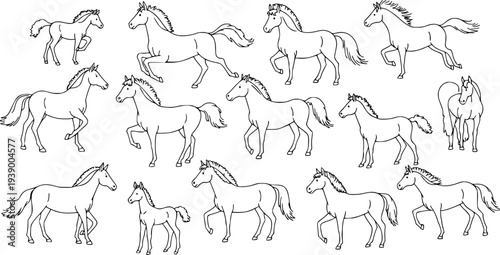 Collection of Black and White Line Art Horses and Foals in Various Poses, Detailed Outline Drawings for Animal and Nature-themed Designs