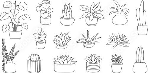 Outline Illustrations of Various Potted Houseplants and Cacti Keywords: houseplants, potted plants, succulents, cacti, greenery