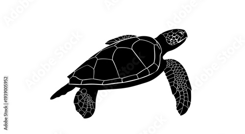 Black Sea Turtle Silhouette Swimming.