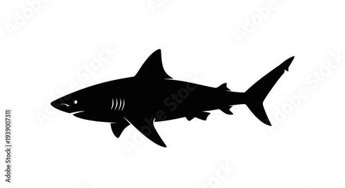 Black Shark Silhouette Swimming.