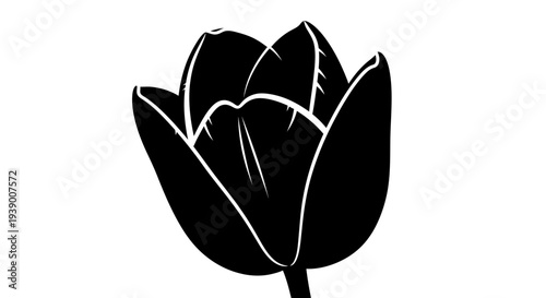 Black Tulip Flower Graphic Illustration.