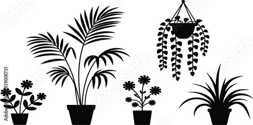 Silhouette Collection Of Potted Houseplants And Hanging Plants On White Keywords: plants, silhouette, potted, hanging