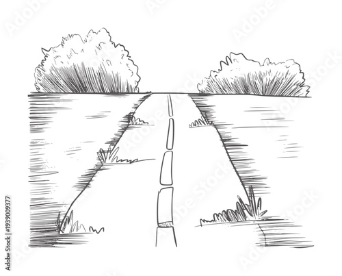 Black and white line of a road leading through grassy fields with bushes country