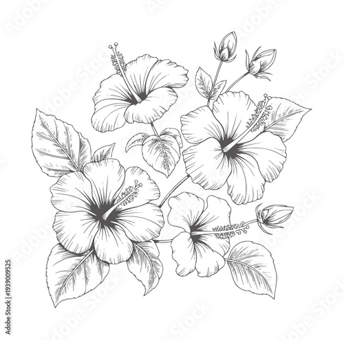 Black and white line of hibiscus flowers and leaves floral botanical
