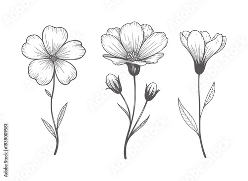 Black and white line of three delicate flowers and buds bloom stem leaf
