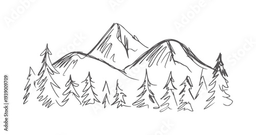 Black and white of pine trees in front of jagged mountains line peak