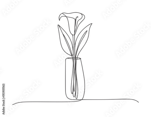 Single calla lily in a vase minimalist line flower