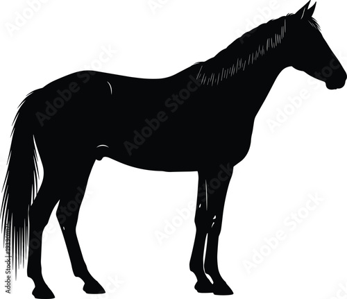 Horse silhouette standing profile illustration, equine animal vector graphic, wildlife mammal symbol design, nature clipart artwork, educational study resource, artistic icon