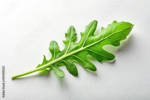 Wallpaper Mural Single Vibrant Green Leaf of Rocket on White Background, Ideal for Culinary or Botanical Themes Torontodigital.ca