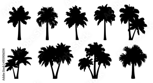 Palm trees silhouette set with various leaf arrangements and heights featuring silhouettes, black, tropical with leaves
