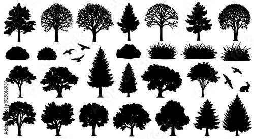 Trees evergreen deciduous and bushes silhouette set with birds and rabbit icons featuring plants, nature, forest with