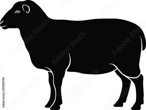 Detailed black silhouette of domestic sheep on transparent background