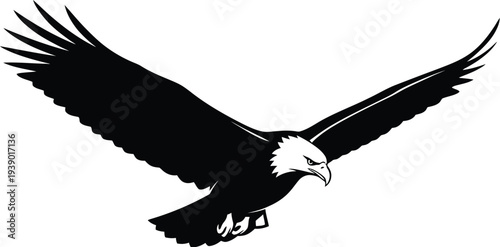Bald eagle flying with open wings in black and white vector style