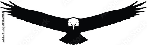 Flying eagle silhouette, majestic bird of prey with outstretched wings, powerful raptor