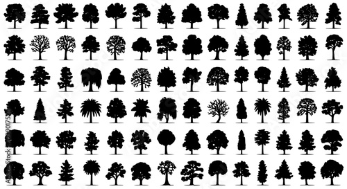 Trees silhouette set with various shapes and sizes in black and white featuring nature, forest, vegetation with plants