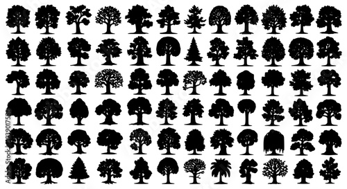 Trees collection with various shapes and sizes in black silhouette style featuring nature, forest, plants with leaves