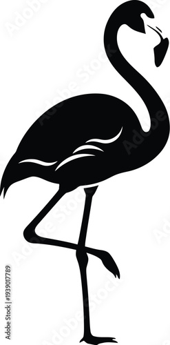 Flamingo bird silhouette black vector illustration isolated on transparent background elegant tropical animal