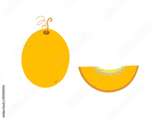 Yellow melon fruit. Vector cartoon illustration on isolated background. , Whole honeydew and slice with seeds. Food and drink. Fresh organic summer dessert. Design element for logo, card, icon