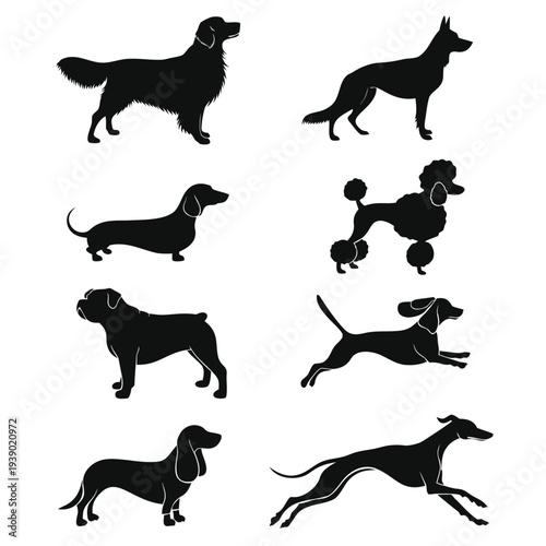 Set of dog silhouettes in black vector illustration showing different running and standing domestic animals icons
