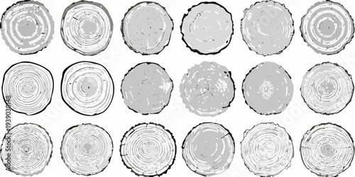Arrangement of circular tree trunk cross sections in grayscale tones