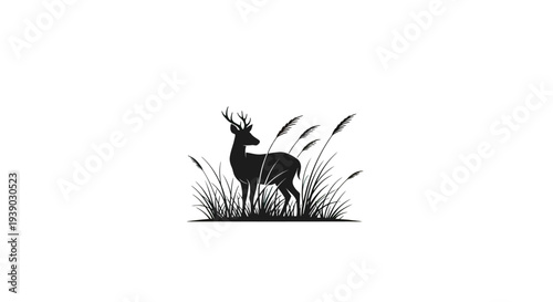 Deer Standing Among Tall Grass Silhouette.