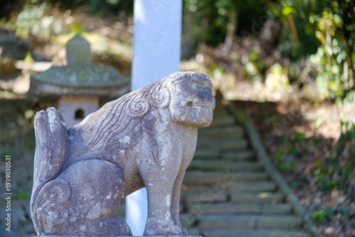 散歩の途中で見つけた春の風景