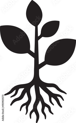 Black Silhouette Plant with Roots Vector Icon isolated on White Background