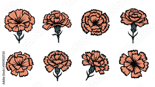 Exquisite collection of hand-drawn carnation flowers, rendered with delicate peach petals and bold black outlines, suitable for elegant floral and botanical illustrations.